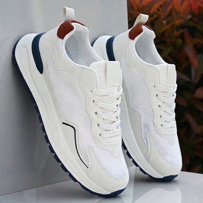 AD - Elegant Shoes Limited Edition